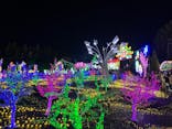 伊豆ぐらんぱる公園に投稿された画像（2023/12/17）