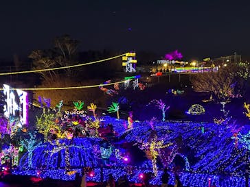 伊豆ぐらんぱる公園に投稿された画像（2023/12/17）