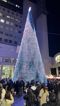 梅田スカイビル・空中庭園展望台に投稿された画像（2023/12/17）