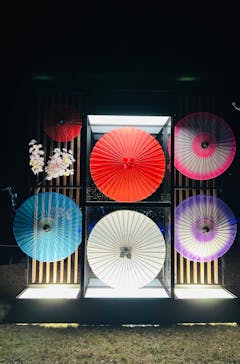 鹿児島イルミナージュに投稿された画像（2023/12/17）