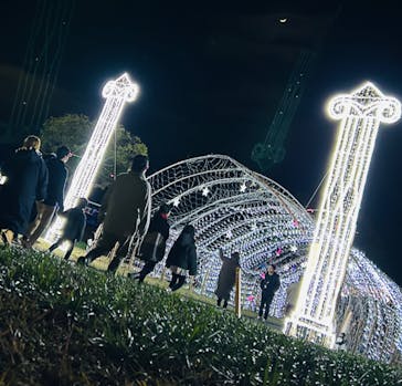 鹿児島イルミナージュに投稿された画像（2023/12/17）