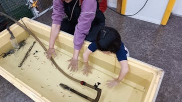 東京あそびマーレに投稿された画像（2023/12/17）