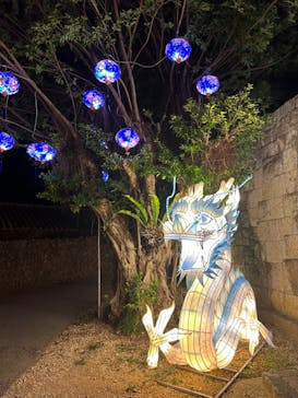 体験王国 むら咲むらに投稿された画像（2023/12/17）