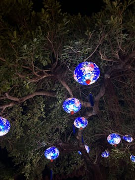 体験王国 むら咲むらに投稿された画像（2023/12/17）