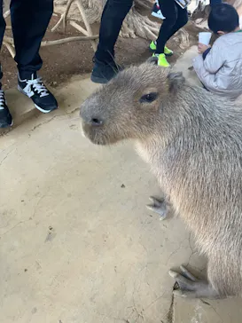 横浜・八景島シーパラダイスに投稿された画像（2023/12/17）