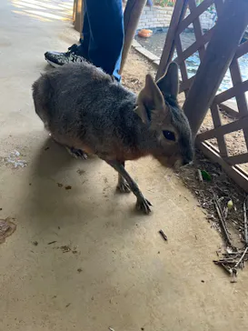 横浜・八景島シーパラダイスに投稿された画像（2023/12/17）
