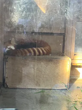 横浜・八景島シーパラダイスに投稿された画像（2023/12/17）