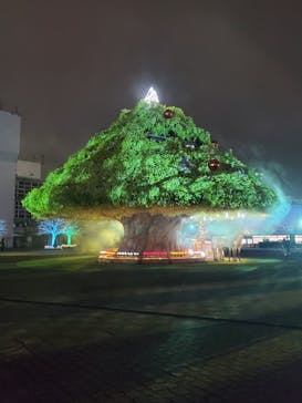東京メガイルミに投稿された画像（2023/12/17）