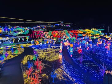 伊豆ぐらんぱる公園に投稿された画像（2023/12/17）