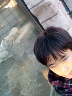 東武動物公園に投稿された画像（2023/12/17）