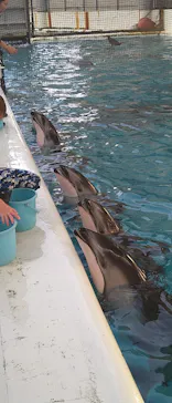 横浜・八景島シーパラダイスに投稿された画像（2023/12/18）