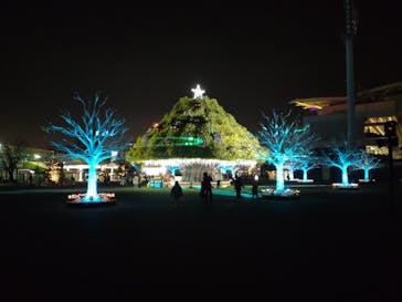 東京メガイルミに投稿された画像（2023/12/18）