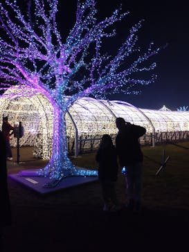 東京メガイルミに投稿された画像（2023/12/18）