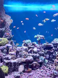 サンシャイン水族館に投稿された画像（2023/12/18）