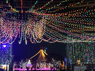 みろくの里に投稿された画像（2023/12/17）