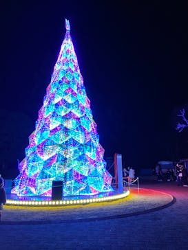 みろくの里に投稿された画像（2023/12/17）