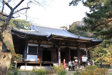 三溪園に投稿された画像（2023/12/18）