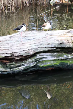 神戸どうぶつ王国に投稿された画像（2023/12/18）