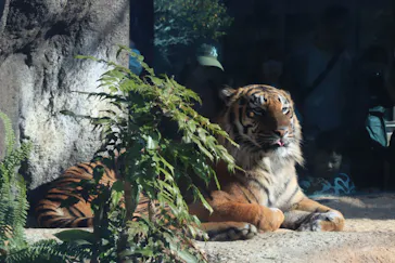 神戸どうぶつ王国に投稿された画像（2023/12/18）