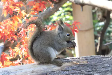 神戸どうぶつ王国に投稿された画像（2023/12/18）