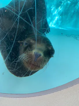 天王寺動物園に投稿された画像（2023/12/18）