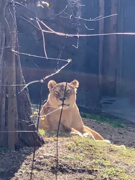 天王寺動物園に投稿された画像（2023/12/18）