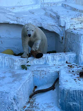 天王寺動物園に投稿された画像（2023/12/18）