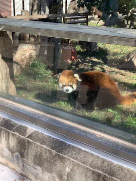 天王寺動物園に投稿された画像（2023/12/18）
