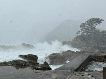 城崎マリンワールドに投稿された画像（2023/12/18）