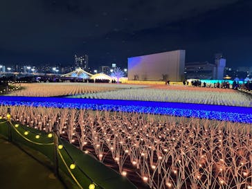 東京メガイルミに投稿された画像（2023/12/18）