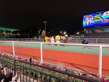 東京メガイルミに投稿された画像（2023/12/18）