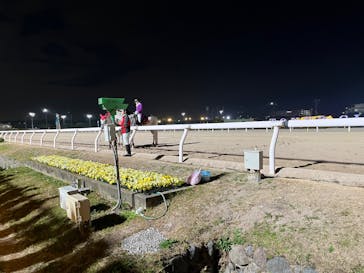 東京メガイルミに投稿された画像（2023/12/18）