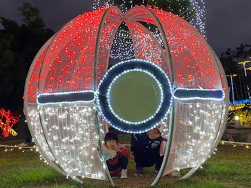 美らヤシパークオキナワ・東南植物楽園に投稿された画像（2023/12/18）