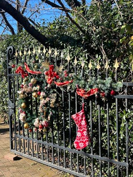 横浜イングリッシュガーデンに投稿された画像（2023/12/18）