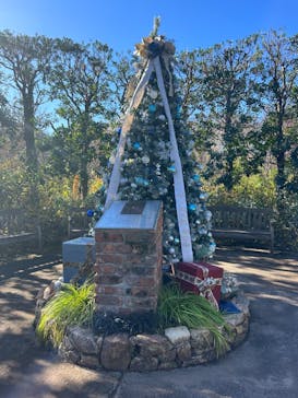 横浜イングリッシュガーデンに投稿された画像（2023/12/18）