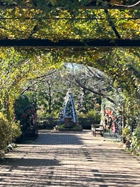 横浜イングリッシュガーデンに投稿された画像（2023/12/18）