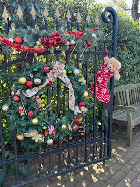 横浜イングリッシュガーデンに投稿された画像（2023/12/18）