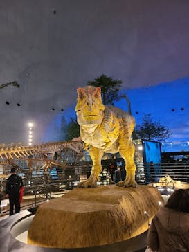 福井県立恐竜博物館に投稿された画像（2023/12/18）