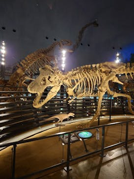 福井県立恐竜博物館に投稿された画像（2023/12/18）