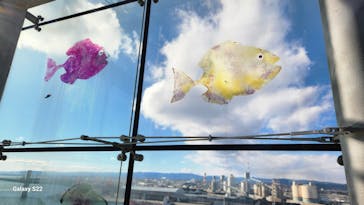 環境水族館アクアマリンふくしまに投稿された画像（2023/12/18）