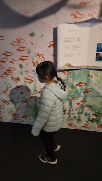 環境水族館アクアマリンふくしまに投稿された画像（2023/12/18）