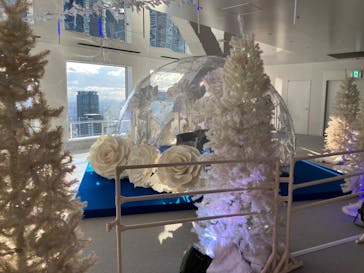 梅田スカイビル・空中庭園展望台に投稿された画像（2023/12/18）