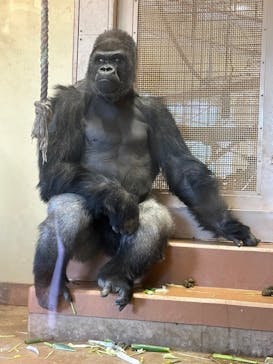 名古屋市東山動植物園に投稿された画像（2023/12/18）