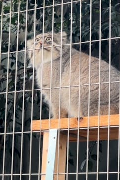 名古屋市東山動植物園に投稿された画像（2023/12/18）