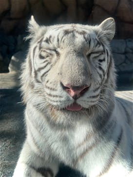 東武動物公園に投稿された画像（2023/12/18）