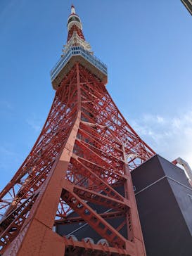 東京タワーに投稿された画像（2023/12/18）