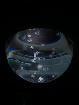 サンシャイン水族館に投稿された画像（2023/12/18）