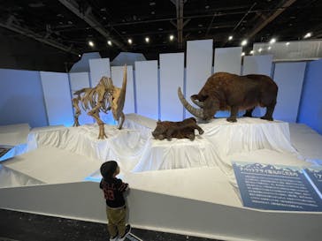 特別展「化石ハンター展 ～ゴビ砂漠の恐竜とヒマラヤの超大型獣～」＠名古屋に投稿された画像（2023/12/18）