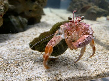 AOAO SAPPOROに投稿された画像（2023/12/18）