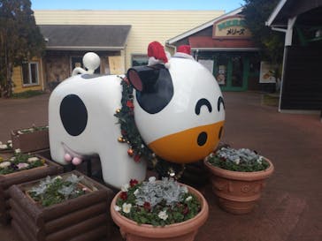 成田ゆめ牧場に投稿された画像（2023/12/18）